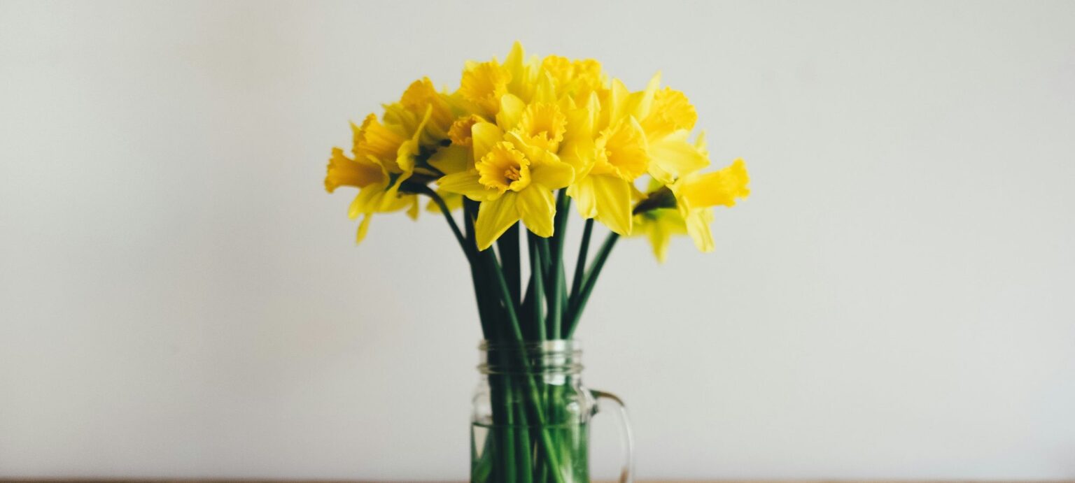 Things to Do in Spring | Spring Bucket List | thortful